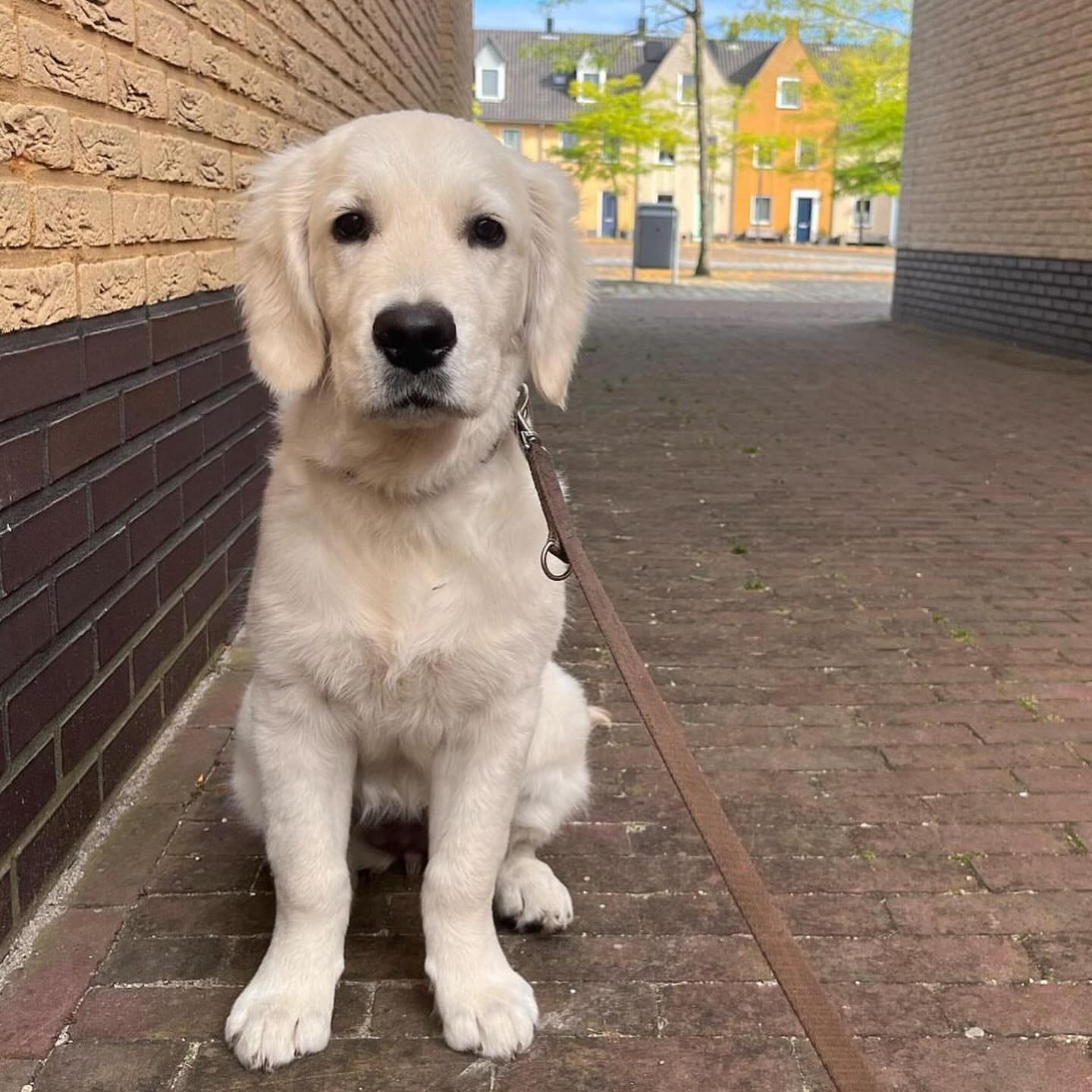 Suus en Fien foto 10