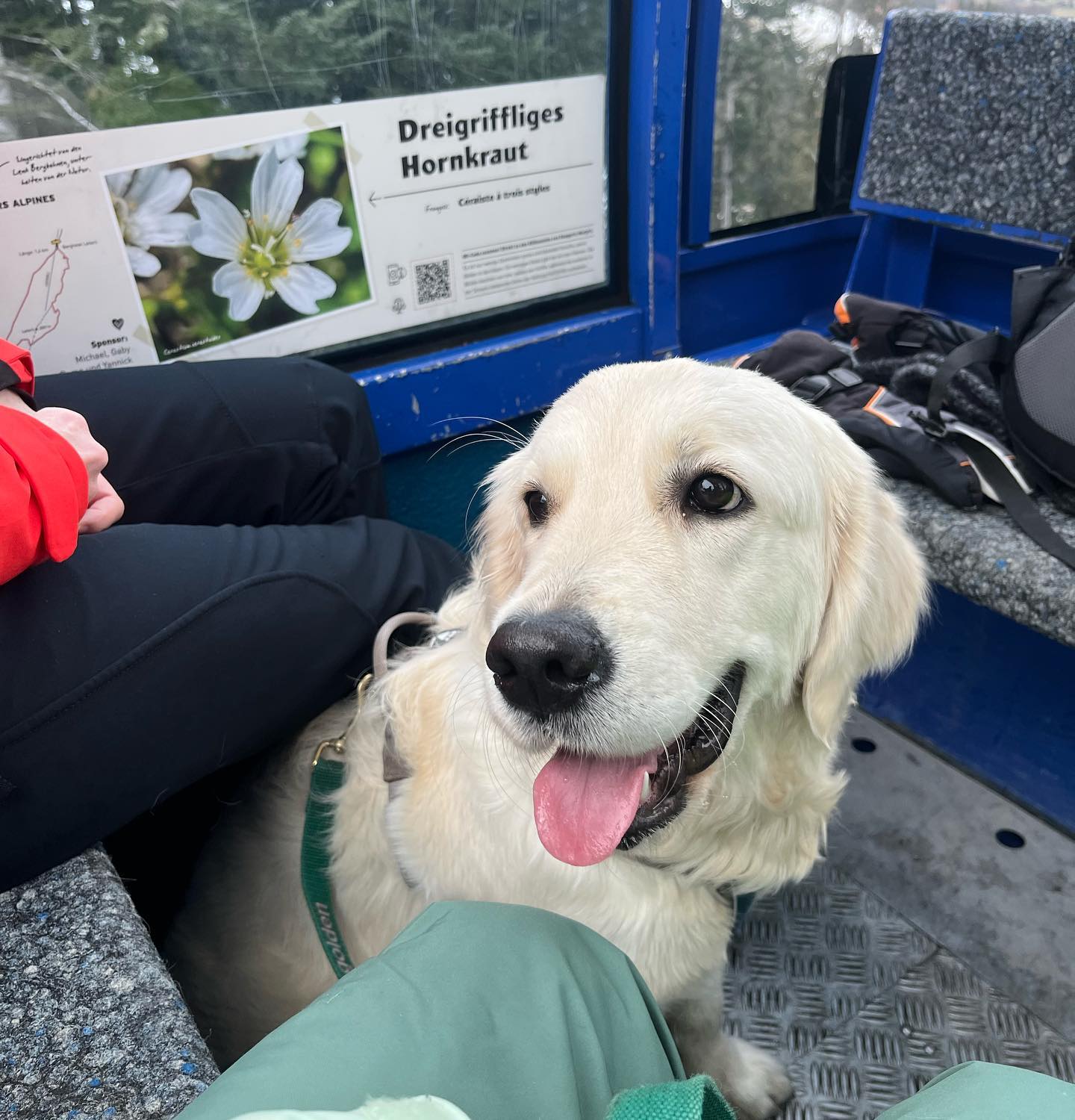 Suus en Fien foto 11