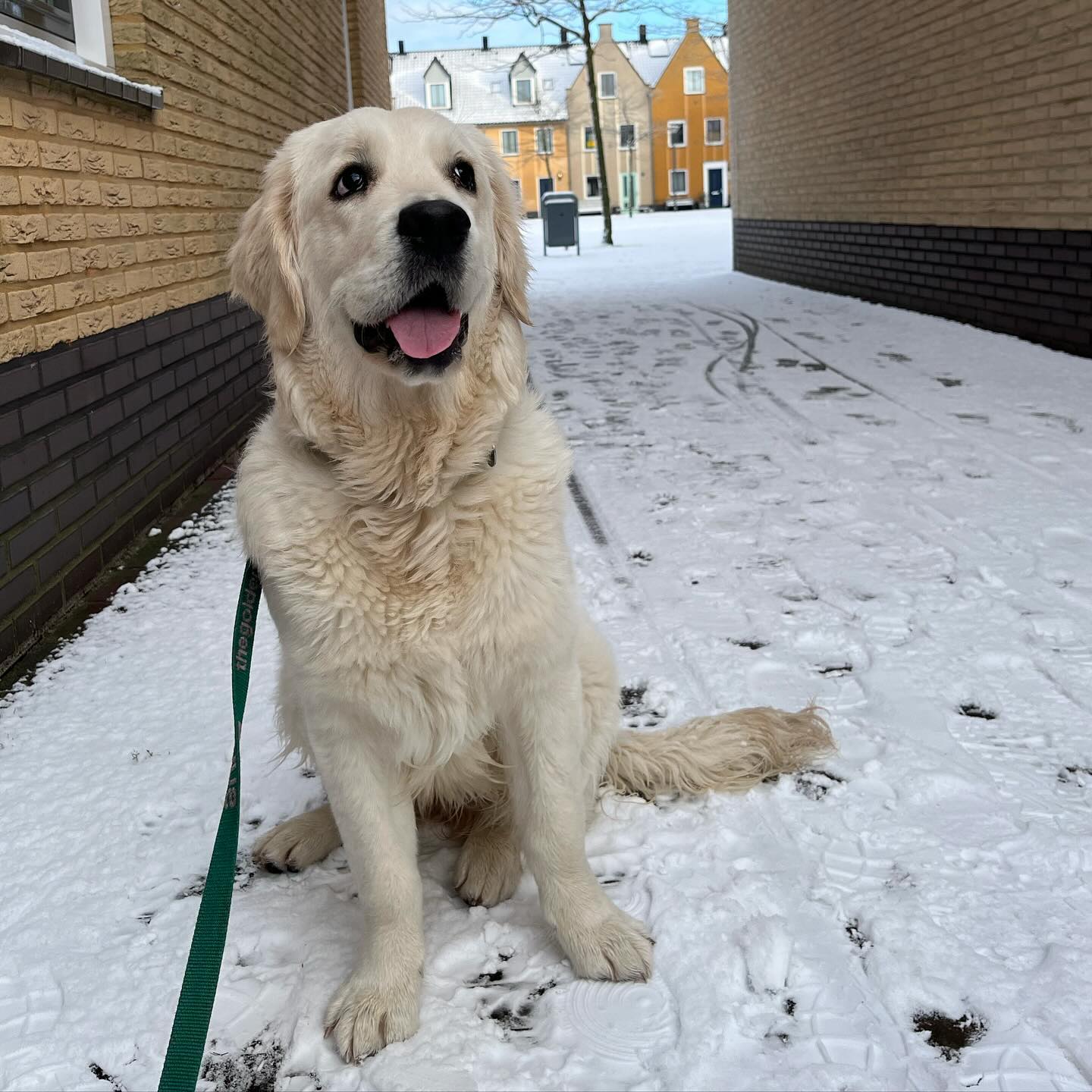 Suus en Fien foto 13