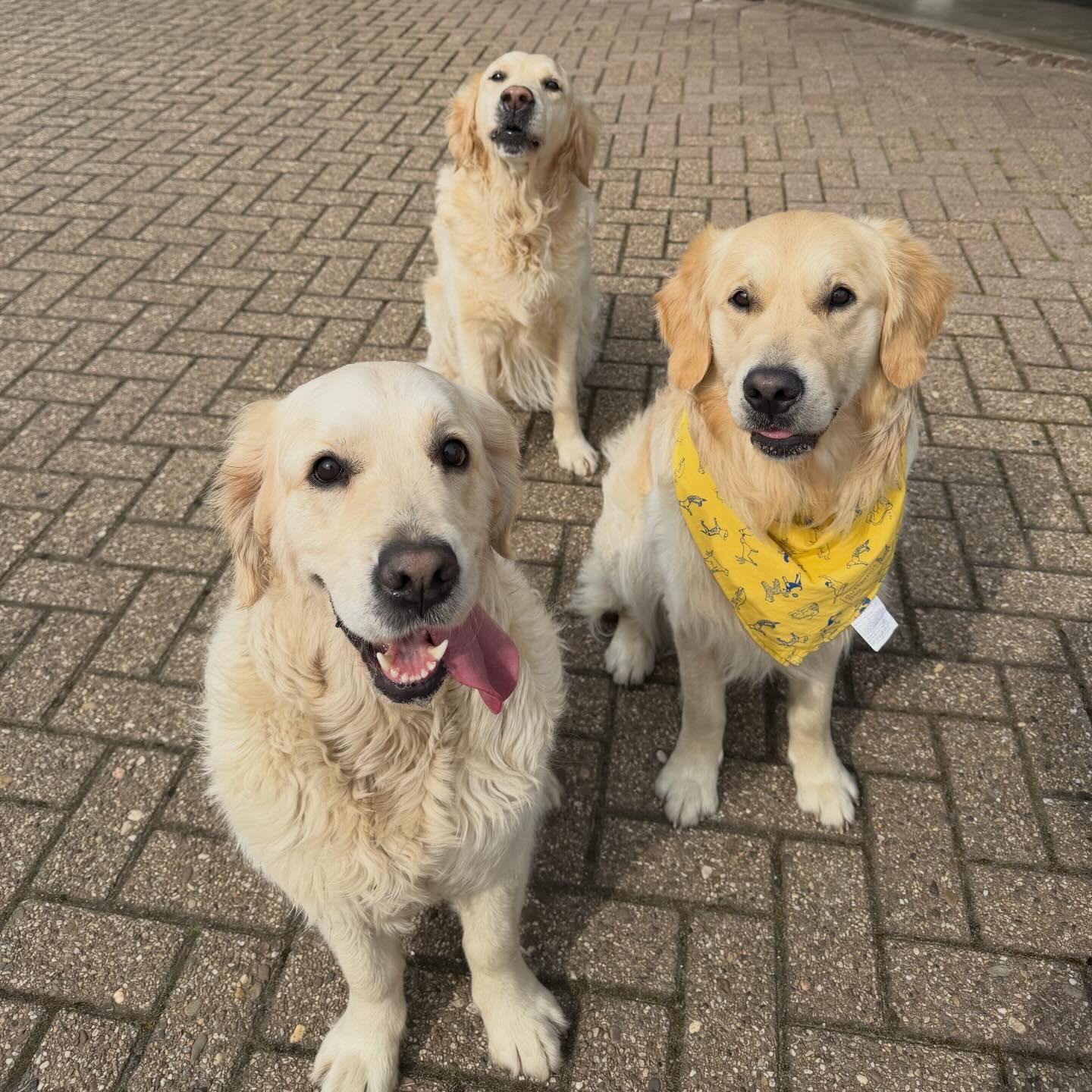 Suus en Fien foto 15