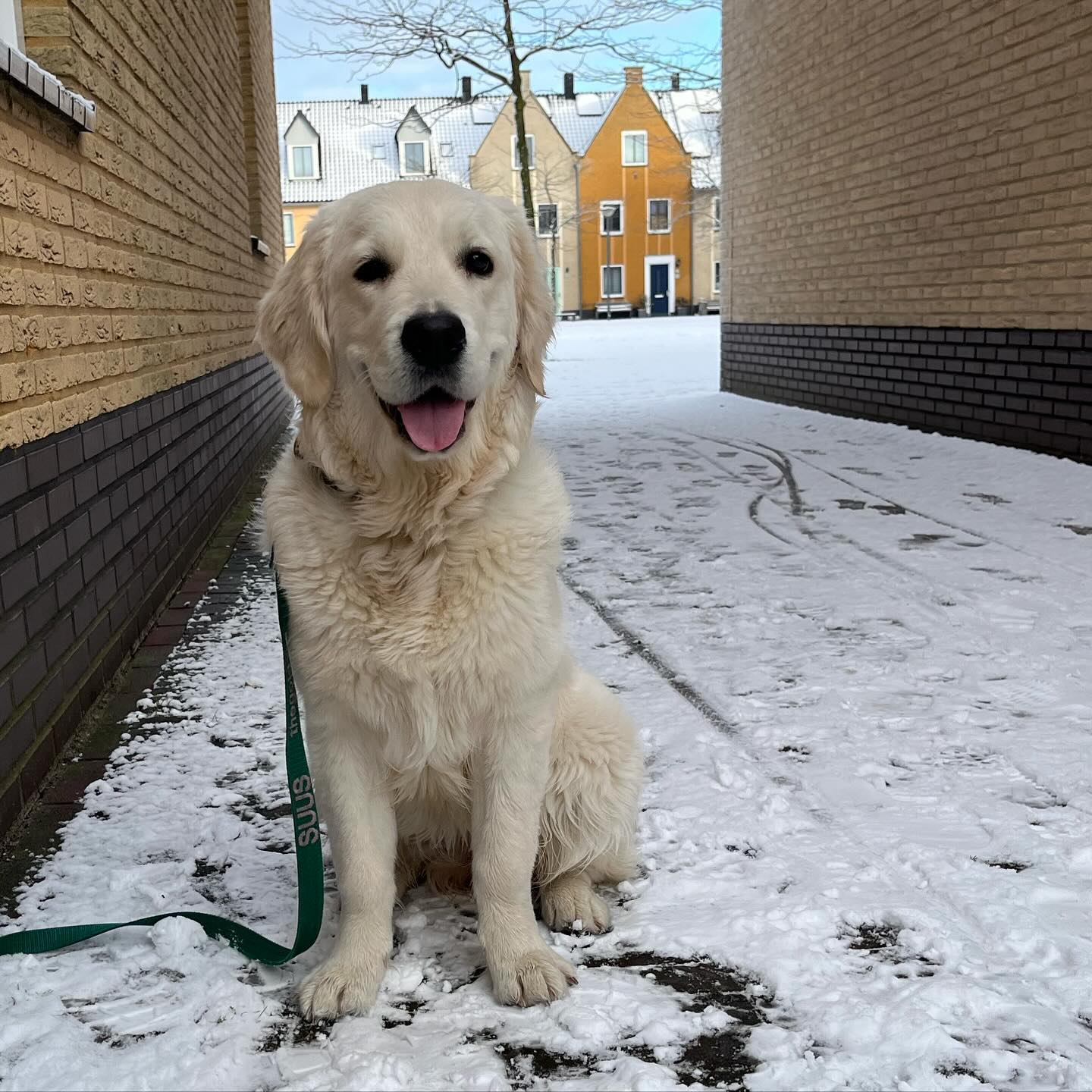 Suus en Fien foto 16