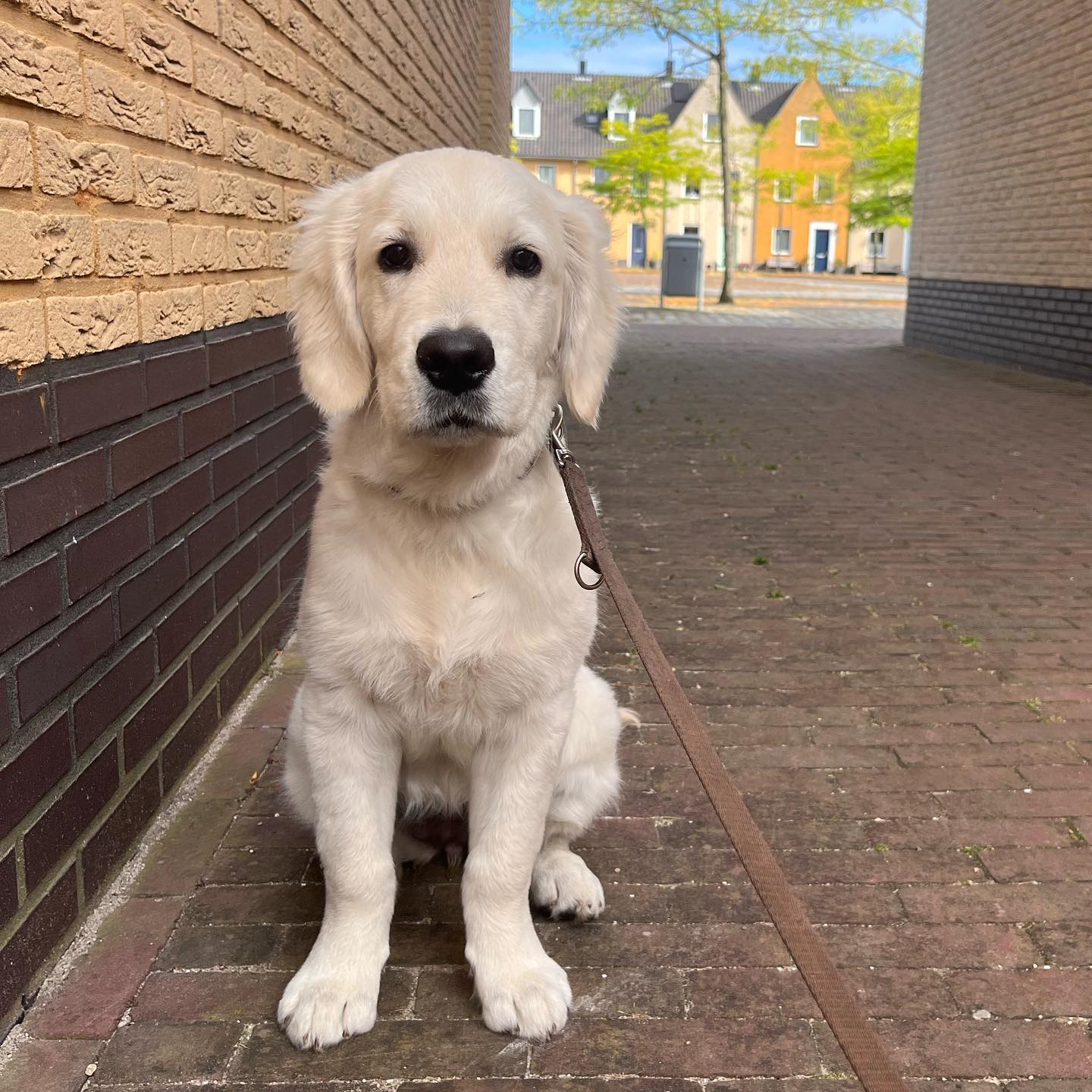 Suus en Fien foto 17