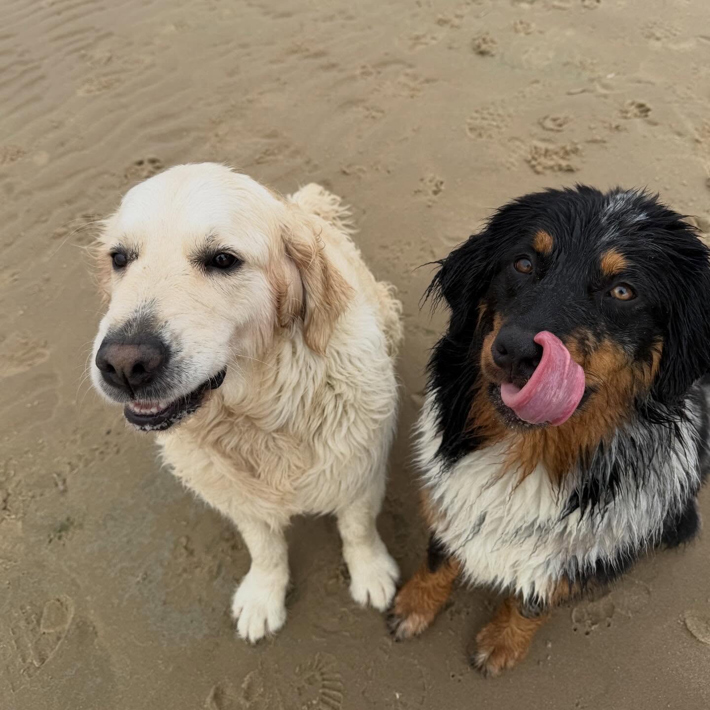 Suus en Fien foto 18